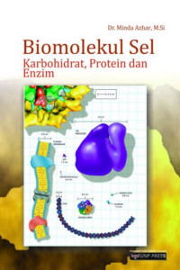 Biomolekul Sel Karbohidrat, Protein dan Enzim